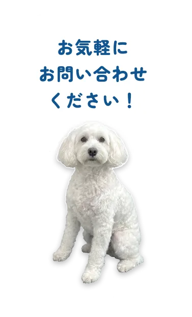 お気軽にお問い合わせください!
